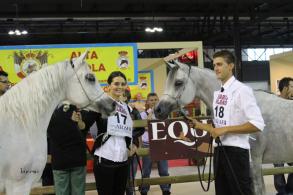 MAGIC FARESSA OWNER SIARD ARABIANS FRANCE
