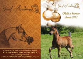 MERRY CHRISTMAS and HAPPY NEW YEAR 2015...