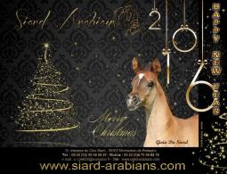 HAPPY NEW YEARS 2016
