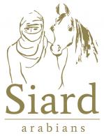 NOUVEAU LOGO de notre élevage de chevaux Pur-Sang Arabes SIARD ARABIANS
