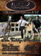 THOMAS TOMASONI  -  ARABIANS TRAINING CENTER