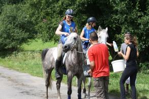NOS CHEVAUX EN ENDURANCE - STERENN QUALIFIEE - 90KMS