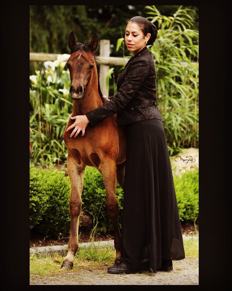 LA PERLE DE MON ORIENT