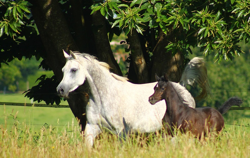 LE PROJECTEUR SUR NOTRE MERVEILLEUSE INFINITY