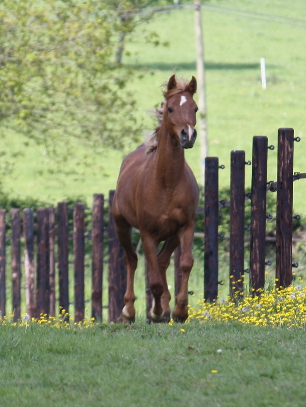 Mise à jour de la liste de vente,
