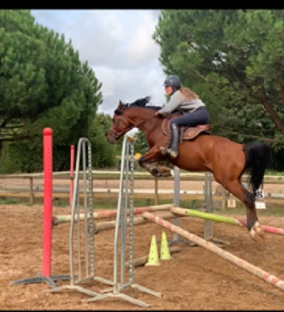 WALKIR et OPHELIE se régale au saut d'obstacles